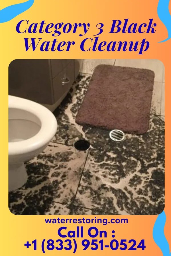 Category 3 Black Water Cleanup in Scotchtown, NY