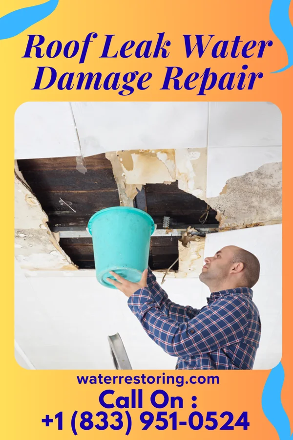 Roof Leak Water Damage Repair in Scotchtown, NY