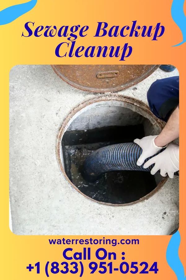 Sewage Backup Cleanup in Scotchtown, NY