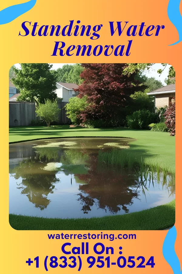 Standing Water Removal in Scotchtown, NY